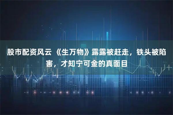 股市配资风云 《生万物》露露被赶走，铁头被陷害，才知宁可金的真面目