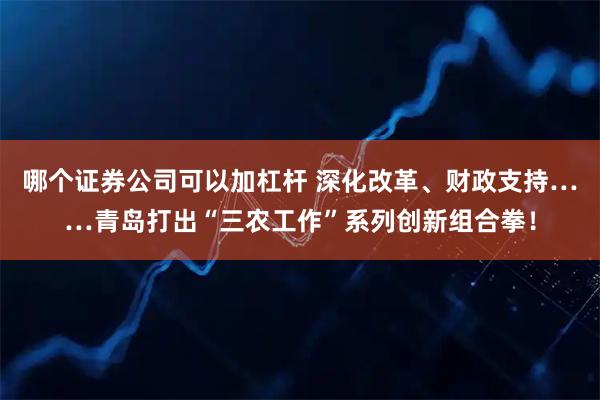 哪个证券公司可以加杠杆 深化改革、财政支持……青岛打出“三农工作”系列创新组合拳！