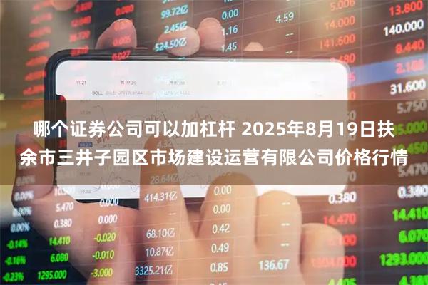 哪个证券公司可以加杠杆 2025年8月19日扶余市三井子园区市场建设运营有限公司价格行情