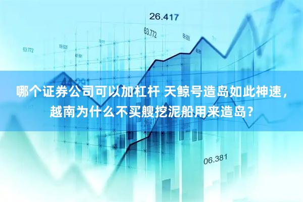 哪个证券公司可以加杠杆 天鲸号造岛如此神速，越南为什么不买艘挖泥船用来造岛？