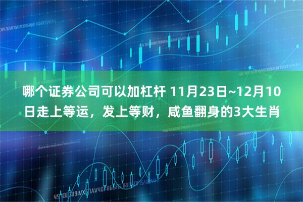 哪个证券公司可以加杠杆 11月23日~12月10日走上等运，发上等财，咸鱼翻身的3大生肖